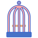 animals,pet,house,architecture and city,bird,cage,open,door,bird cage